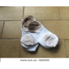 chaussettes usées (édition H.Brissaud)